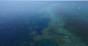 AI和无人机高光谱相机拯救面临解体危机的大堡礁