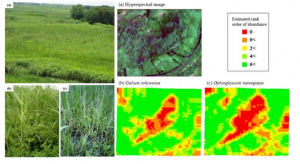 无人机高光谱相机影像植被、草皮覆盖度遥感估算