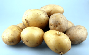 高光谱相机对马铃薯内外部品质检测的应用
