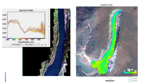 高光谱成像技术在水环境监测中的应用