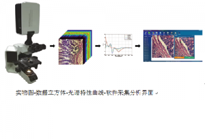 显微高光谱成像系统工作原理和组成结构