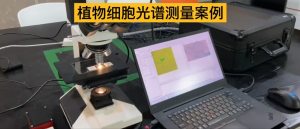 高光谱相机在植物细胞光谱测量中的应用案例